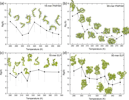 Figure 2. 2: The radius of gyration as a function of temperature. Snapshots showing 