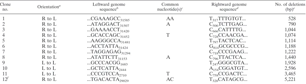 TABLE 1. Sequence analysis of concatemeric junctions