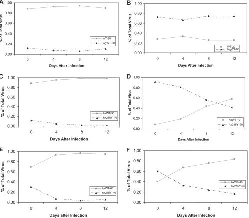 FIG. 1. Representative growth curves of virus with sequence tags in nefthe tagged sequence (tagWT) at 20%