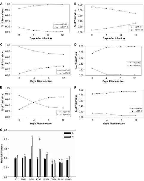 FIG. 2. (A) Competition with the subtype C WT (mjWT) and the 215Y mutant (mj215Y) with an initial inoculum of 90% WT to 10% mutant.(B) Reciprocal of panel A, with 10% WT to 90% 215Y