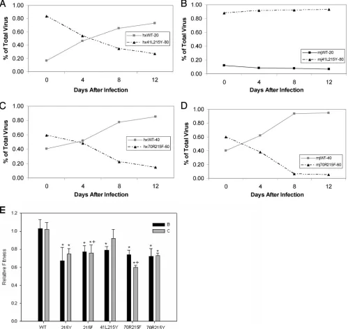 FIG. 3. (A) The subtype B WT competed with the 41L215Y double mutant at a ratio of 20:80, respectively