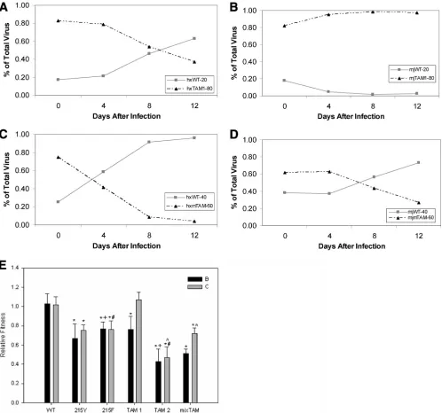 FIG. 4. Relative ﬁtness of triple mutants. (A) Subtype B competition of the TAM-1 mutant, 41L210W215Y, with the WT at a ratio of 20% WTto 80% mutant