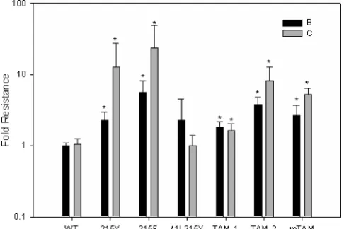 FIG. 5. AZT IC100bars are 1 standard deviation. TAM-1 is the 41L210W215Y mutant,TAM-2 is the 67N70R215F mutant, and mTAM is the 67N70R215Ymutant