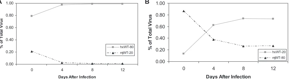 FIG. 6. Competition of the subtype B and C WTs against each other. (A) Competition with an inoculum of 80% subtype B, hxWT, and 20%subtype C, mjWT