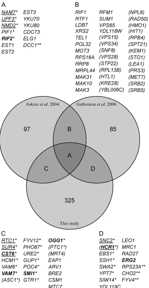 Figure 3.—Comparison of CDC13-interacting genes with