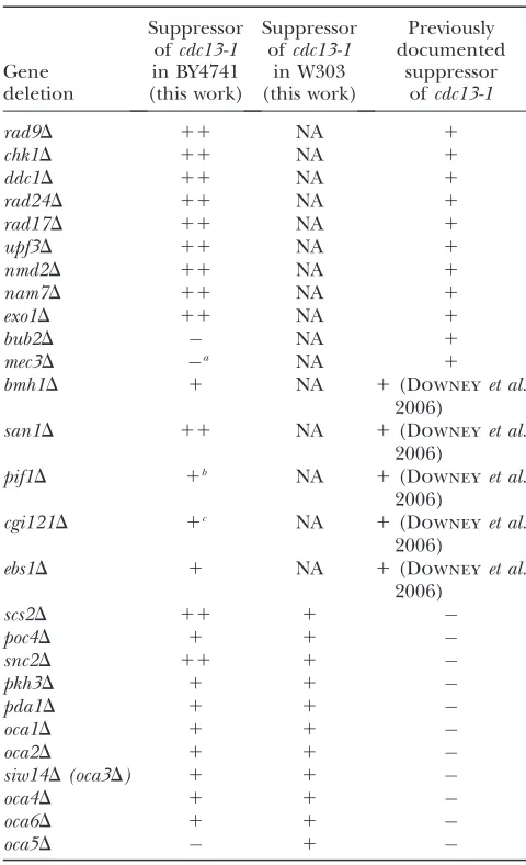TABLE 2