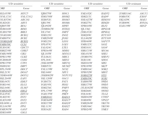 TABLE 4