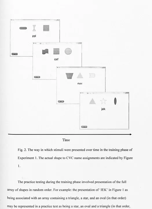 Fig. 2. The way in which stimuli were presented over time in the training phase of 