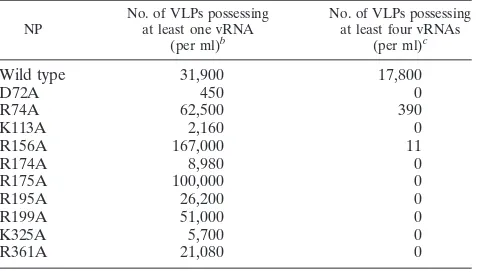 TABLE 2. Virion incorporation efﬁciencies of vRNA segmentsa