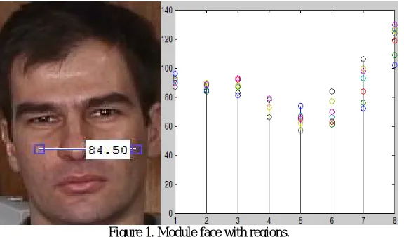 Figure 1. Module face with regions.  