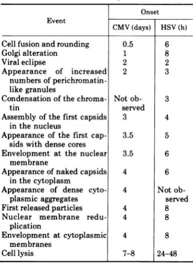 TABLE 1. Comparison of timing of major events inHSV and CMV cycles.