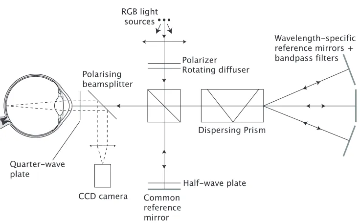 Fig. 2. Schematic representation of the proposed Structured Illumination Ophthalmoscopeusing the Fizeau fringe projection technique and three wavelengths for illumination