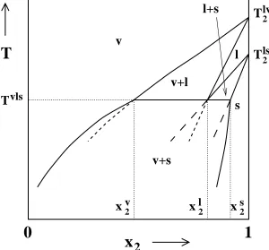 Figure 2.1: Illustration of the procedure used to determine a solid-liquid-vapor co-existence line (see text for description).identify the phases present in each region