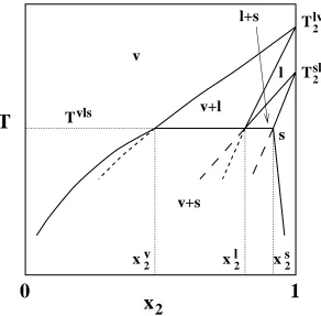 Figure 3.1: Illustration of the procedure used to determine a solid-liquid-vapor co-existence line (see text for description)