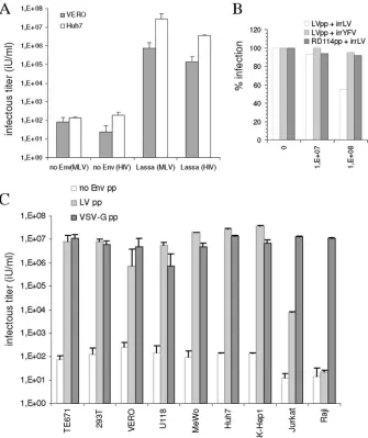FIG. 2. Infectivity of LVpp. (A) LVpp or nonenveloped pseudoparticles were produced with viral vectors derived from either MLV or HIV (noEnv [MLV], no Env [HIV], LV [MLV], and LV [HIV], respectively)