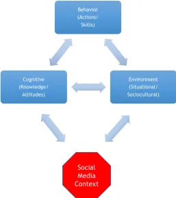 Figure 9. The social media context in a social-cognitive framework 
