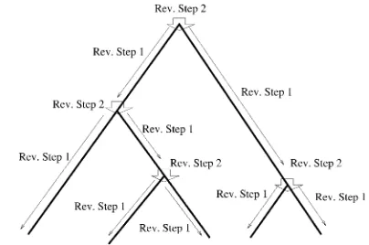 Figure 4.—Flow of the computation using the two reversesteps to update downward views.
