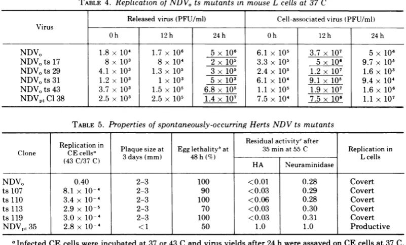 TABLE 4. Replication of NDVO ts mutants in mouse L cells at 37 C