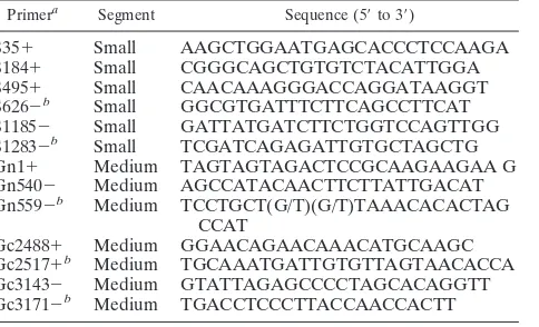 TABLE 1. Primers used for nested and heminested RT-PCR andsequencing
