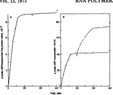 FIG. 3.A260into Time course of incorporation of 3H-UMP RNA. A, Standard reaction; B, an additional 0.3 of heat treated-phage 06 was added at 20 min (t) .