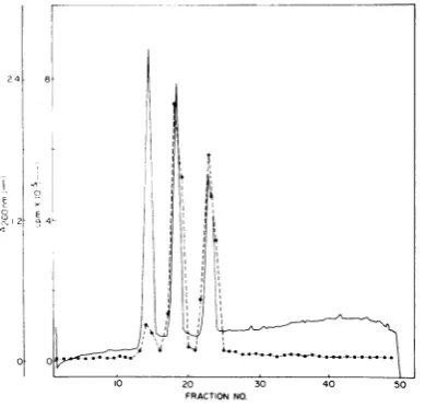 FIG. 6.2densitythe(components x Co-sedimentation of 3H-RNA synthesized by phage 06 from 3H-UTP together with 06 dsRNA at fractions 12 to 20) and TRV ssRNA (components at fractions 24 and 30) in linear log sucrose gradients equilibrated with 2 x SSC