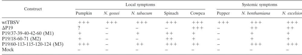 Fig. 5 is that TBSV was only able to elicit local lesions on N.
