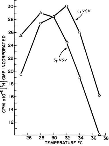 FIG. 3.ityReactions(15tivitytheTris S2VSV and L1VSVRNA polymerase activ- as a function of pH