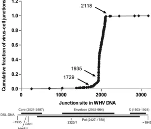 FIG. 1. Map of virus-cell junction sites on the left-hand end of WHV DSL DNA. The genome position on WHV DNA of virus-cell junctionsidentiﬁed by inverse PCR in autopsy liver samples from all seven woodchucks is shown