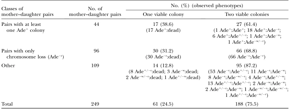 TABLE 4