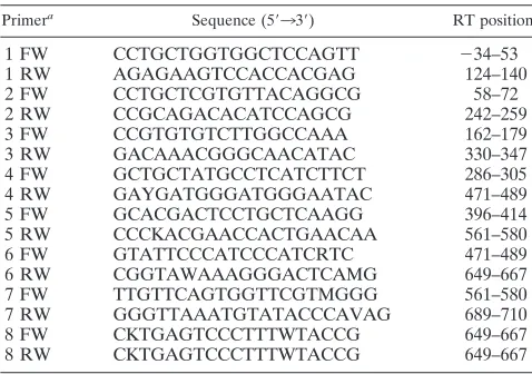 TABLE 1. Sequences and positions of primers used for UDPSof HBV