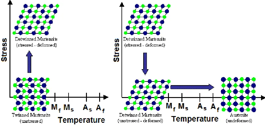 Figure 3 Phase Transformations in SMA [21] 