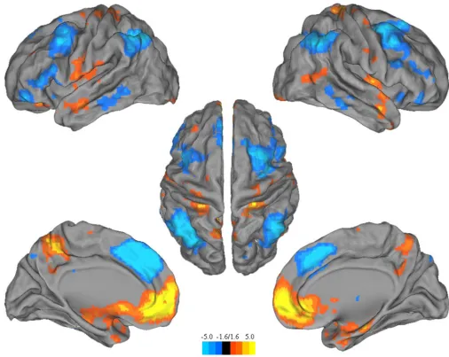 Figure 4. Task-Related Functional Connectivity AnalysisVentral vs. dorsal medial medial prefrontal cortex (mPFC) were functionally connected toseparate neural networks during self-projection of one’s own self (SPS; orange/redactivation) vs