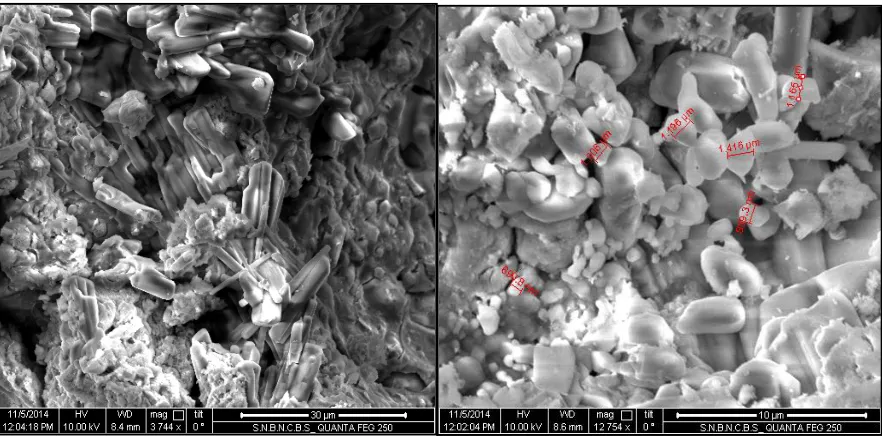 Figure 4. Scanning Electron Microscopy of typical samples of GPBF & GPWF under resolution of 3744 X & 12754 X zoom respectively 