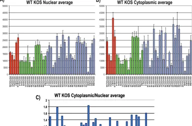 FIG. 7. Microarray analysis of the cytoplasmic/nuclear ratio for HSV-1 transcripts. (A, B) HeLa cells were infected with wild-type (WT) HSV-1KOS for 8 h