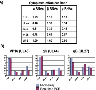 FIG. 9. Cytoplasmic/nuclear export ratios are reduced when ICP27 is unable to bind RNA or interact with TAP/NXF1