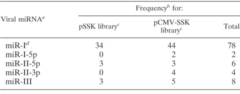 TABLE 1. New HSV-2 LAT-encoded miRNAs identiﬁed by 454HTP sequencing