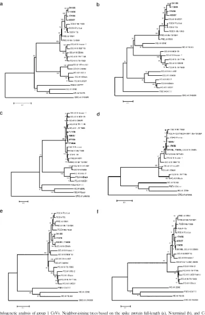 FIG. 1. Phylogenetic analysis of group 1 CoVs. Neighbor-joining trees based on the spike protein full-length (a), N-terminal (b), and C-terminal (c)sequences and the envelope (d), membrane (e), and nucleocapsid (f) proteins of group 1 CoVs