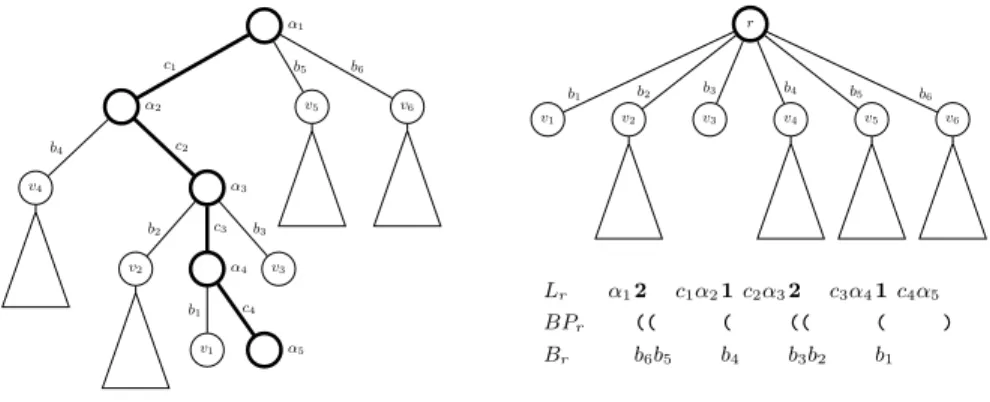 Fig. 3. Path decomposition of a trie. The α i denote the labels of the trie nodes, c i and b i the branching characters (depending on whether they are on the path or not).
