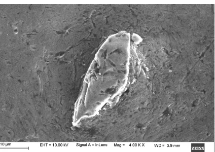 Fig. 1 SEM image of 4 % B 4C particulate reinforced AA6061 composite.  