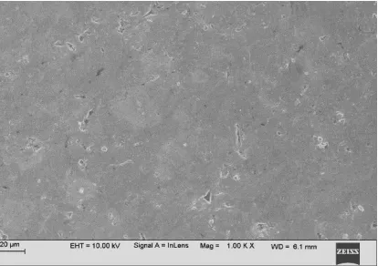 Fig. 3 SEM image of 2 % B 4C particulate reinforced AA6061 composite. 