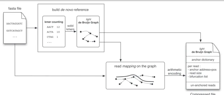 Fig. 1 L EON method overview. First, a de Bruijn Graph is constructed from the reads: kmers are counted, then abundant enough kmers are inserted into a bloom filter representing a probabilistic de Bruijn Graph