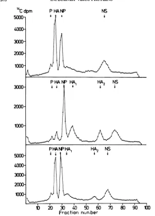 FIG. 6.postinfectionmediathe Polyacrylamide gel electrophoresis of FPV proteins synthesized at 25 C