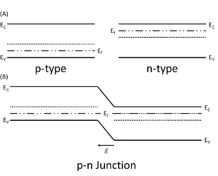 Figure 2-6: (A) A p-type and n-type material separated with their respective Ef labeled and (B) the resultant p-n junction created by bringing the materials together