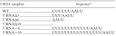 TABLE 2. Sequences of mutated RNAs