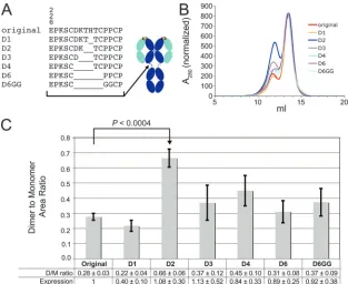 FIG. 3. 2G12 deletion constructs. (A) Amino acid sequences of the hinge region of the original 2G12 and the six deletion mutants (left) andapproximate location of the hinge deletions on a schematic structure of a normal IgG (right)