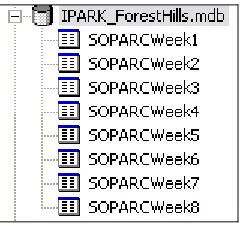 Figure 5.  SOPARC Observation Data as Imported into the Geodatabase  