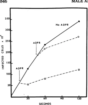 FIG. 6.(phage60,adsorption.anddescribedwasremovedsincemM)(broth Effect of time of addition of ADPR on T4D Four adsorptiontubeswere prepared at a multiplicity of infection of 0.1)