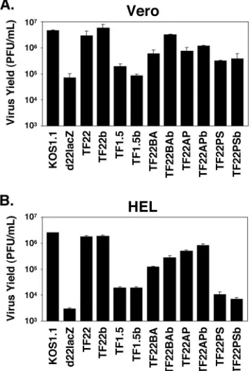 FIG. 4. Induction of Pol IIImigrates at approximately 200 kDa; IIwere mock infected or infected with the indicated viruses at an MOI of 10.Protein extracts were prepared at 6 hpi and analyzed by immunoblottingusing the Pol II LS-speciﬁc antibodies ARNA3 or