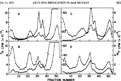 FIG. 3.grown41ofapproximatelythroughrespectively)The0.2-mlmediumThe infection. C Zone sedimentation of parental phage DNVA from infected LD301
