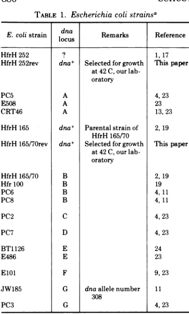 TABLE 1. Escherichia coli strainsa
